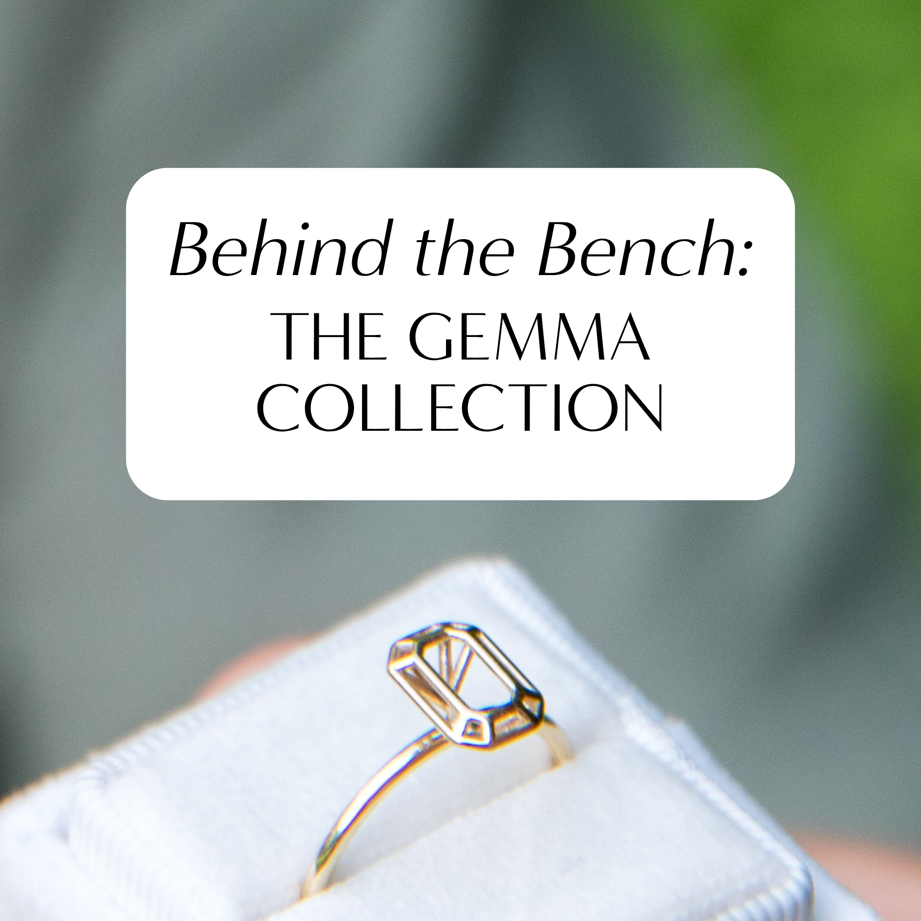 Behind the Bench: The Gemma Collection