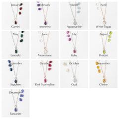 Elements Cosmic Necklace in 14k White & Rose Gold