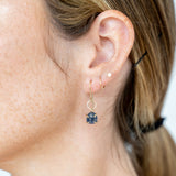 Elements Spectra Earrings in 14k White & Rose Gold